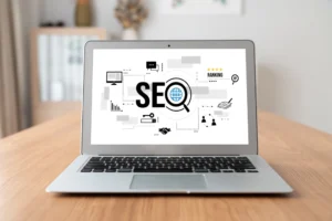 search engine optimization consultant